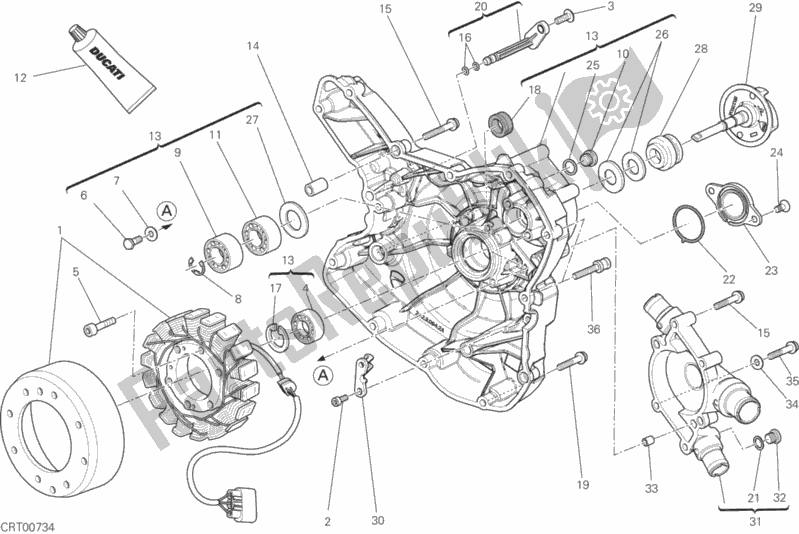 Tutte le parti per il Coperchio Crnkcse Pompa Acqua-altr-side del Ducati Monster 821 Brasil 2016